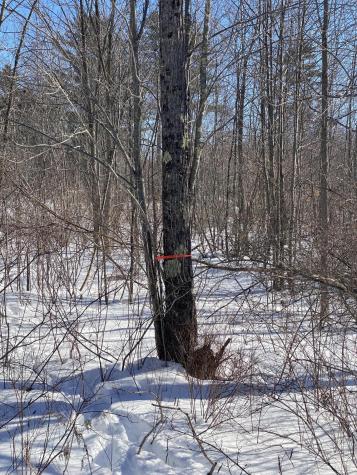 104 Langdon Road Richmond ME 04357