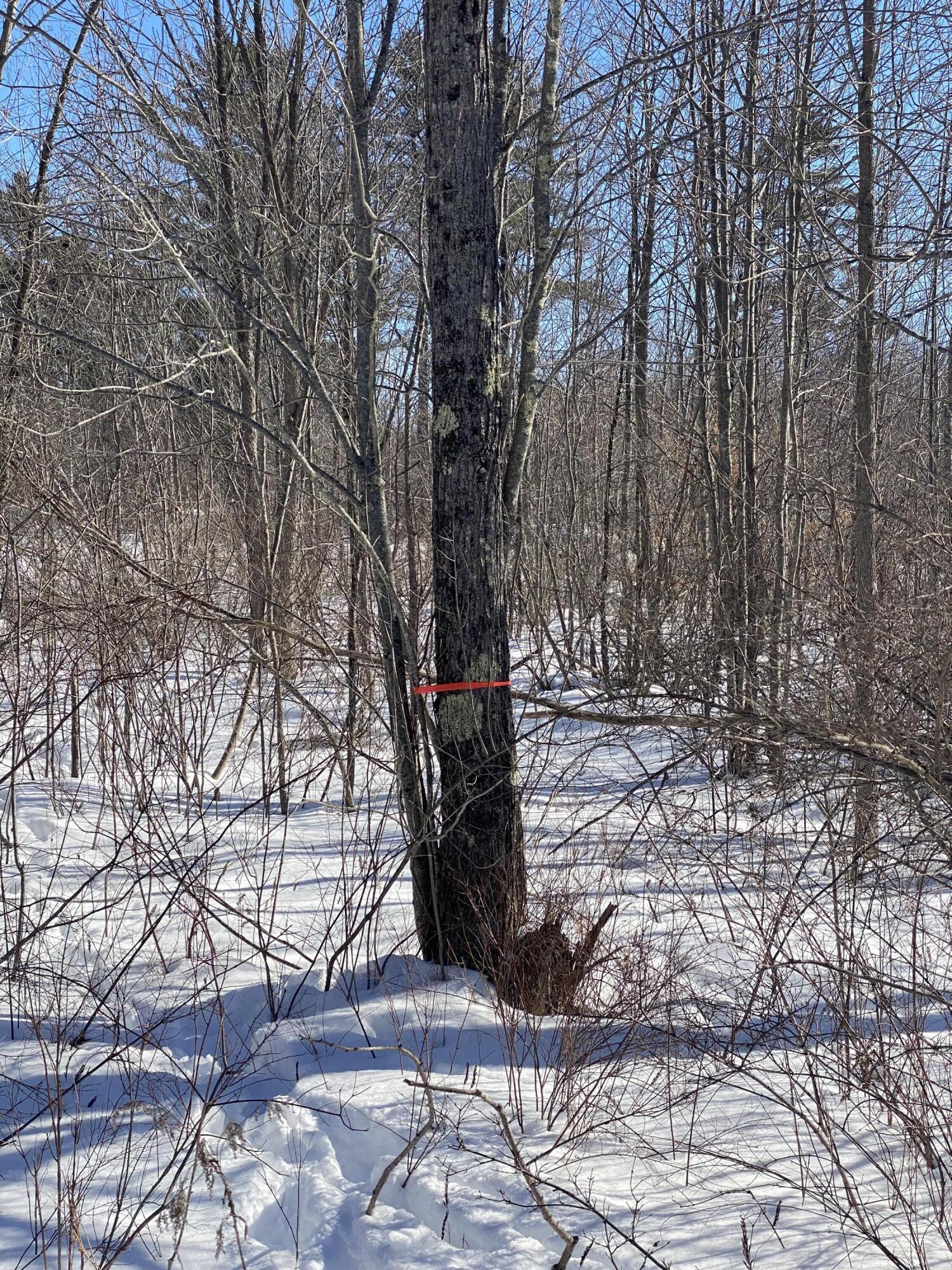 104 Langdon Road Richmond ME 04357