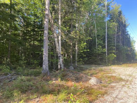 114 Sandy Acres Drive Sullivan ME 04664