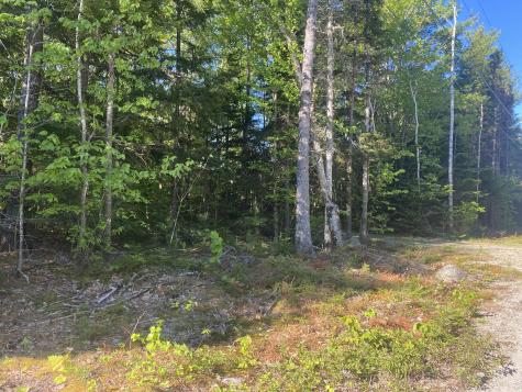 114 Sandy Acres Drive Sullivan ME 04664