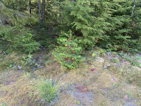 114 Sandy Acres Drive Sullivan ME 04664