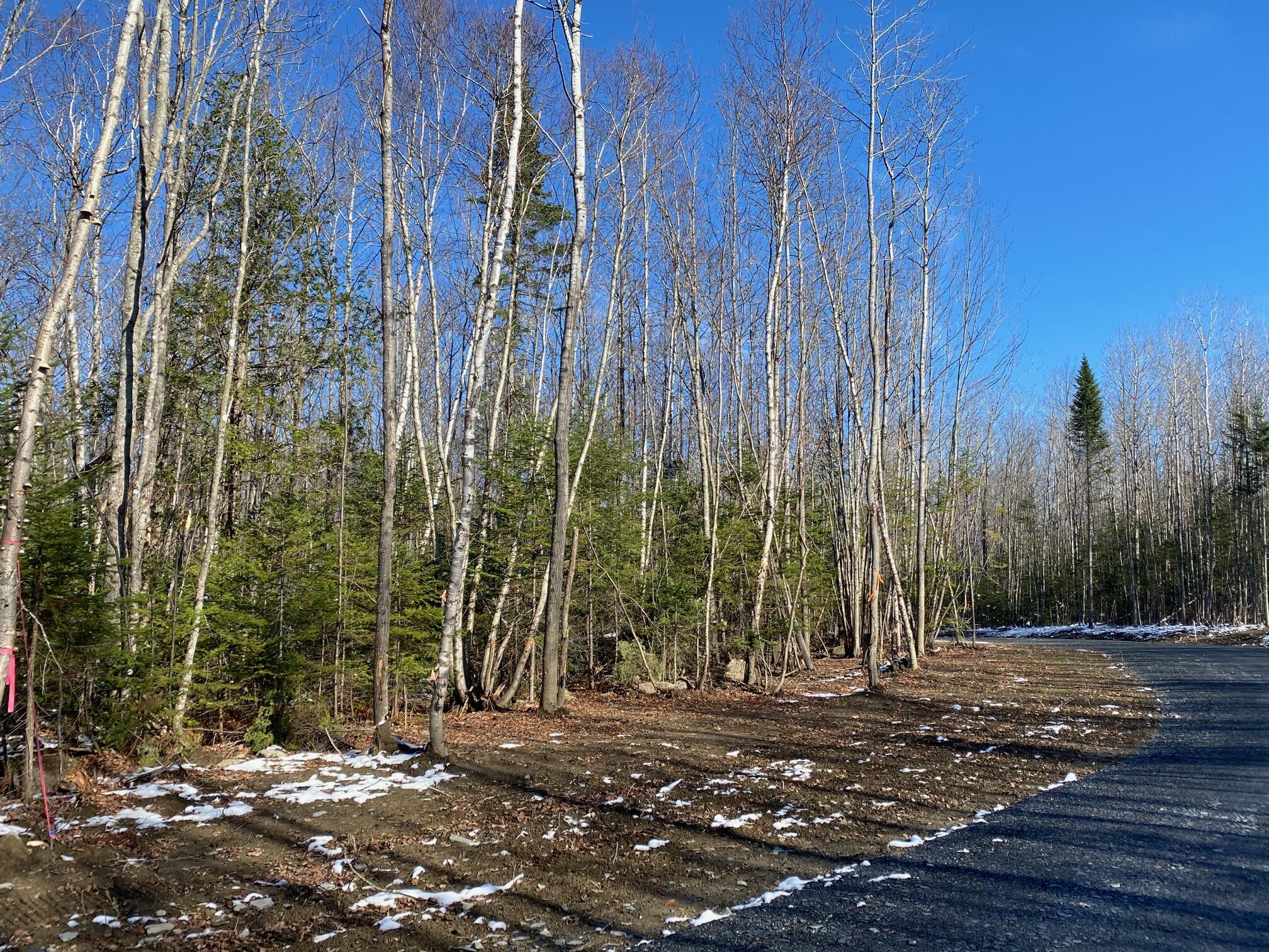 6 Tumbledown Lane Greenville ME 04441