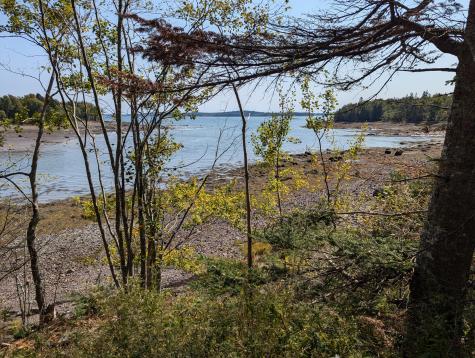 L1-1,2,3,4 Birch Point Road Perry ME 04667