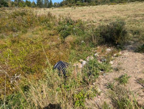 L1-1,2,3,4 Birch Point Road Perry ME 04667