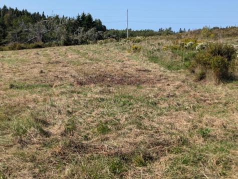 L1-1,2,3,4 Birch Point Road Perry ME 04667