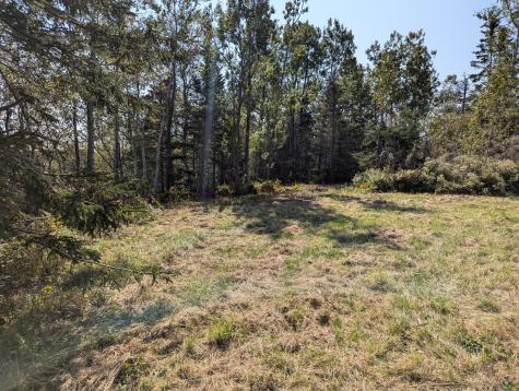 L1-1,2,3,4 Birch Point Road Perry ME 04667