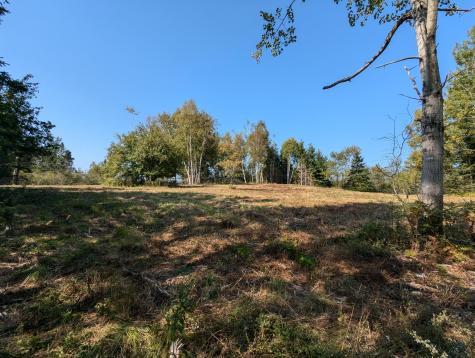 L1-1,2,3,4 Birch Point Road Perry ME 04667