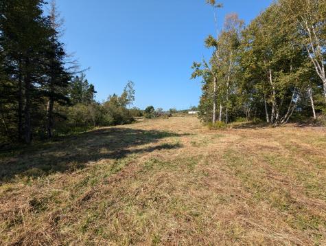 L1-1,2,3,4 Birch Point Road Perry ME 04667