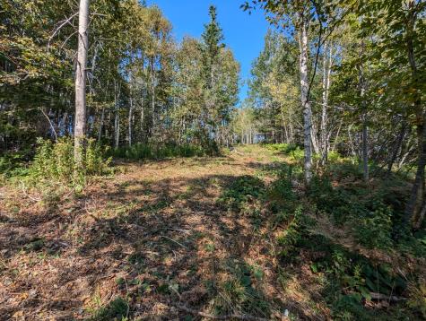 L1-1,2,3,4 Birch Point Road Perry ME 04667