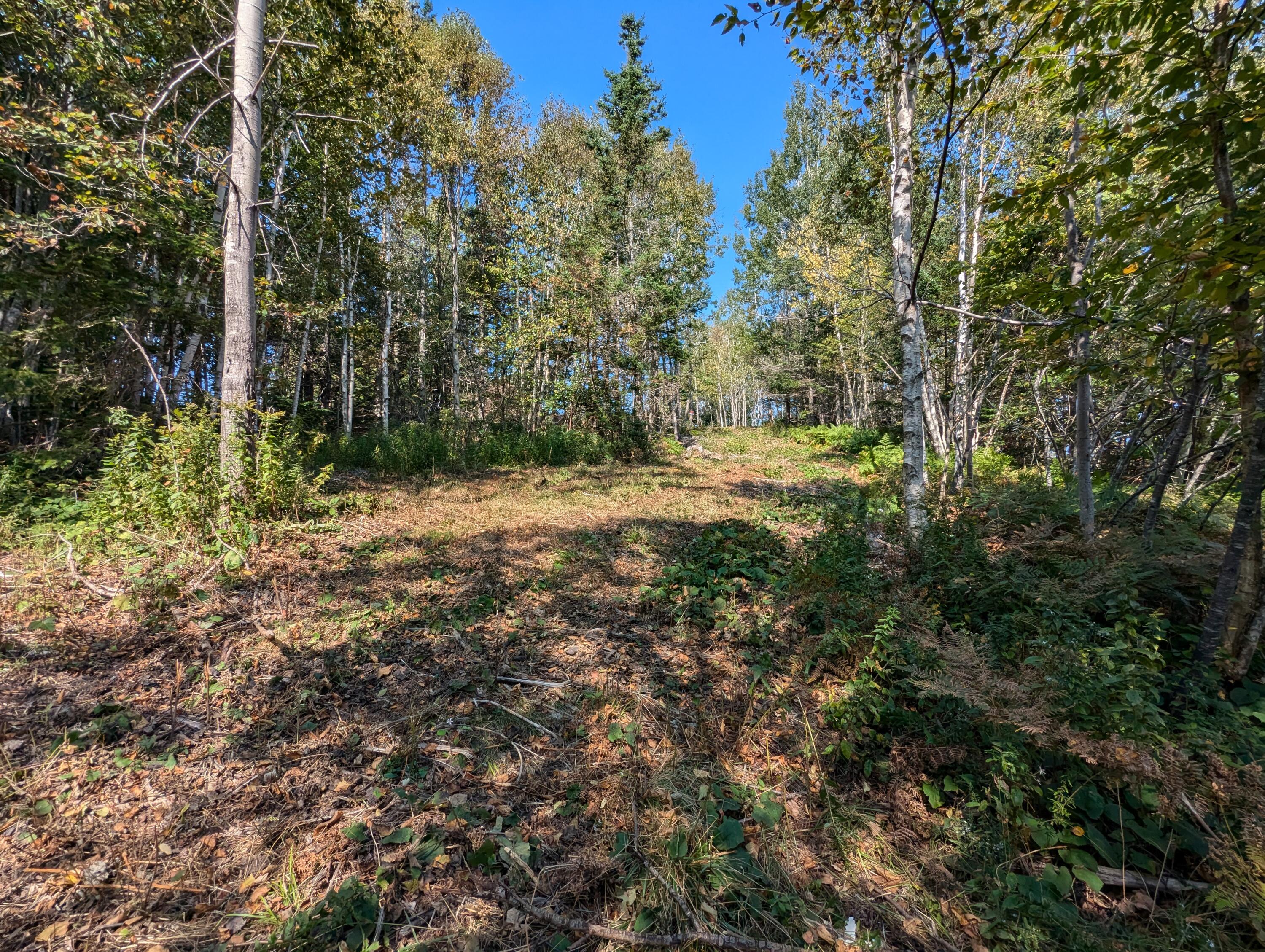 L1-1,2,3,4 Birch Point Road Perry ME 04667