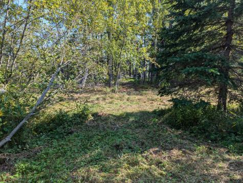 L1-1,2,3,4 Birch Point Road Perry ME 04667