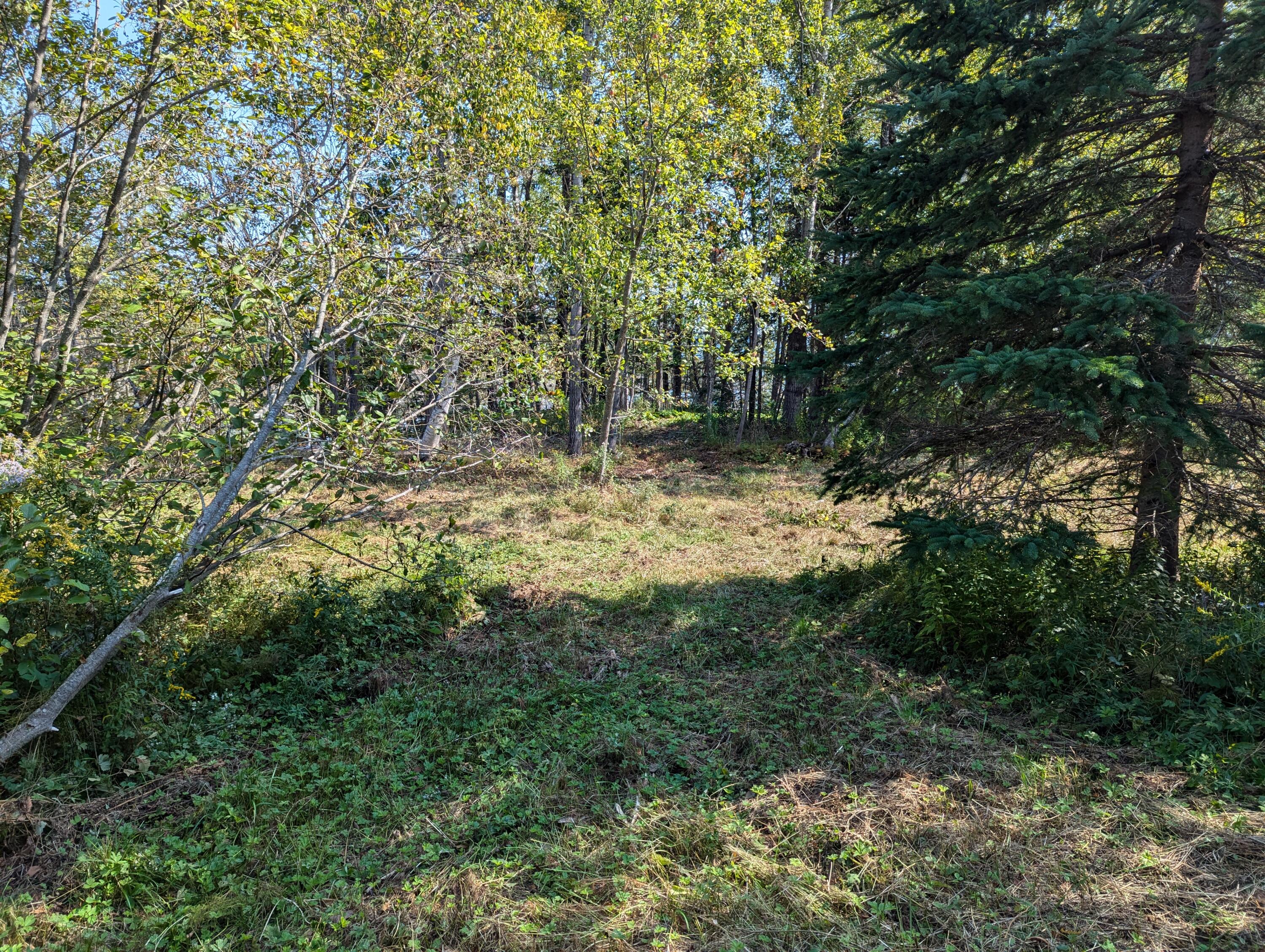 L1-1,2,3,4 Birch Point Road Perry ME 04667