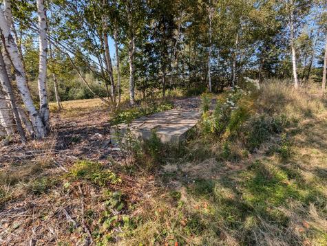 L1-1,2,3,4 Birch Point Road Perry ME 04667