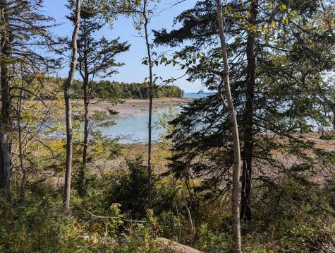 L1-1,2,3,4 Birch Point Road Perry ME 04667