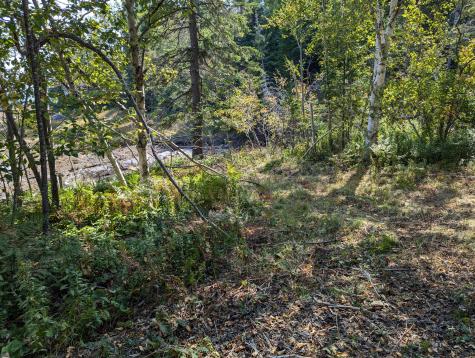 L1-1,2,3,4 Birch Point Road Perry ME 04667