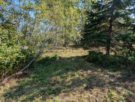 L1-1,2,3,4 Birch Point Road Perry ME 04667