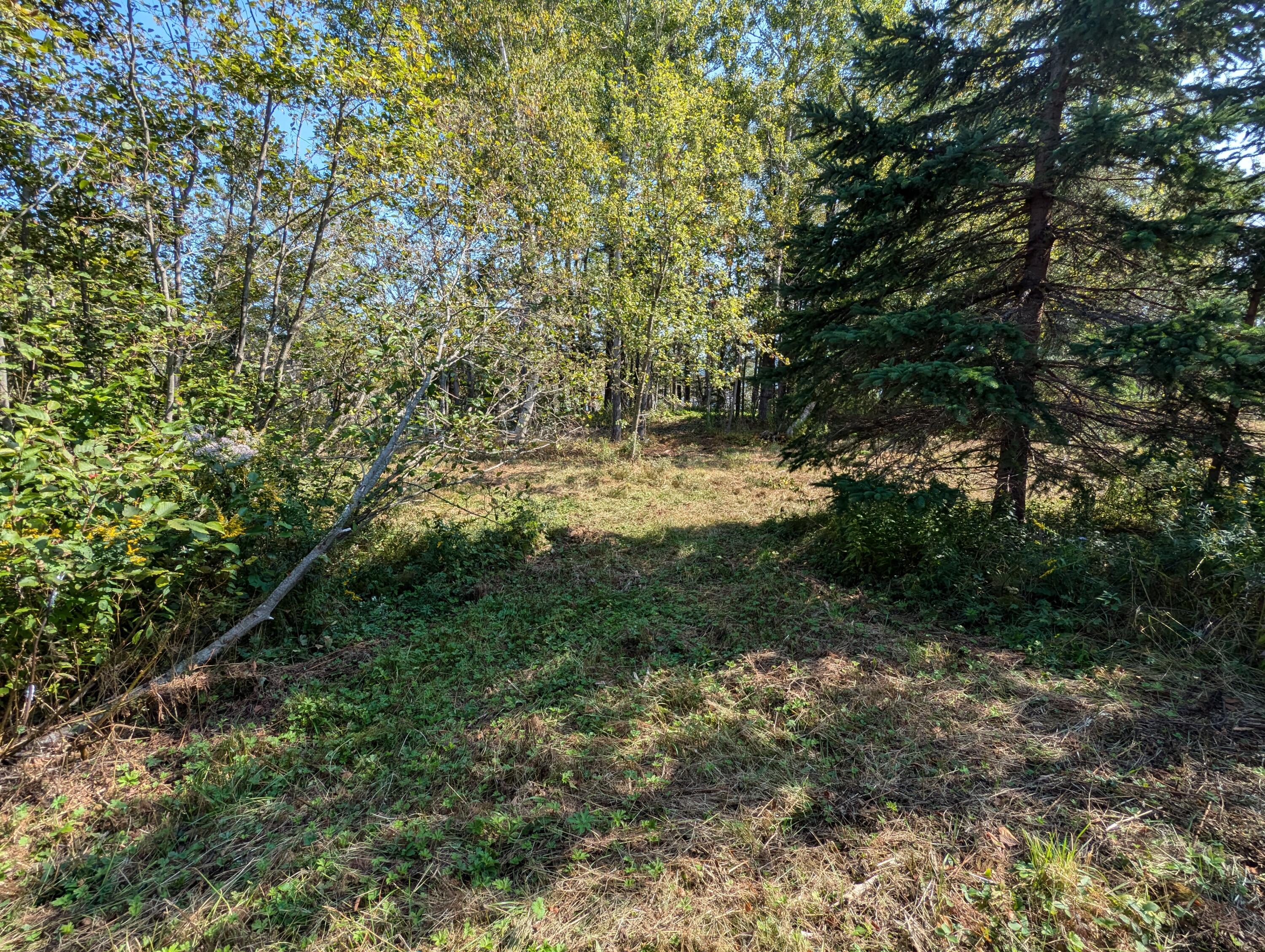 L1-1,2,3,4 Birch Point Road Perry ME 04667