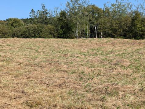 L1-1,2,3,4 Birch Point Road Perry ME 04667