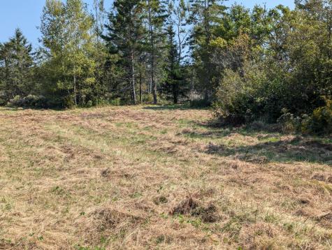 L1-1,2,3,4 Birch Point Road Perry ME 04667