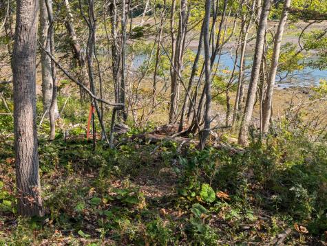 L1-1,2,3,4 Birch Point Road Perry ME 04667