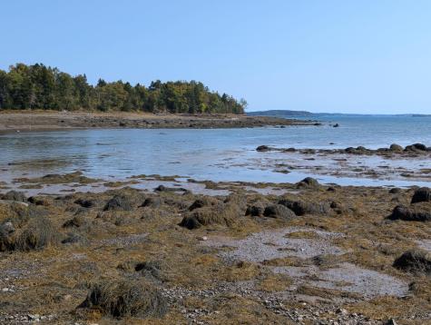 L1-1,2,3,4 Birch Point Road Perry ME 04667