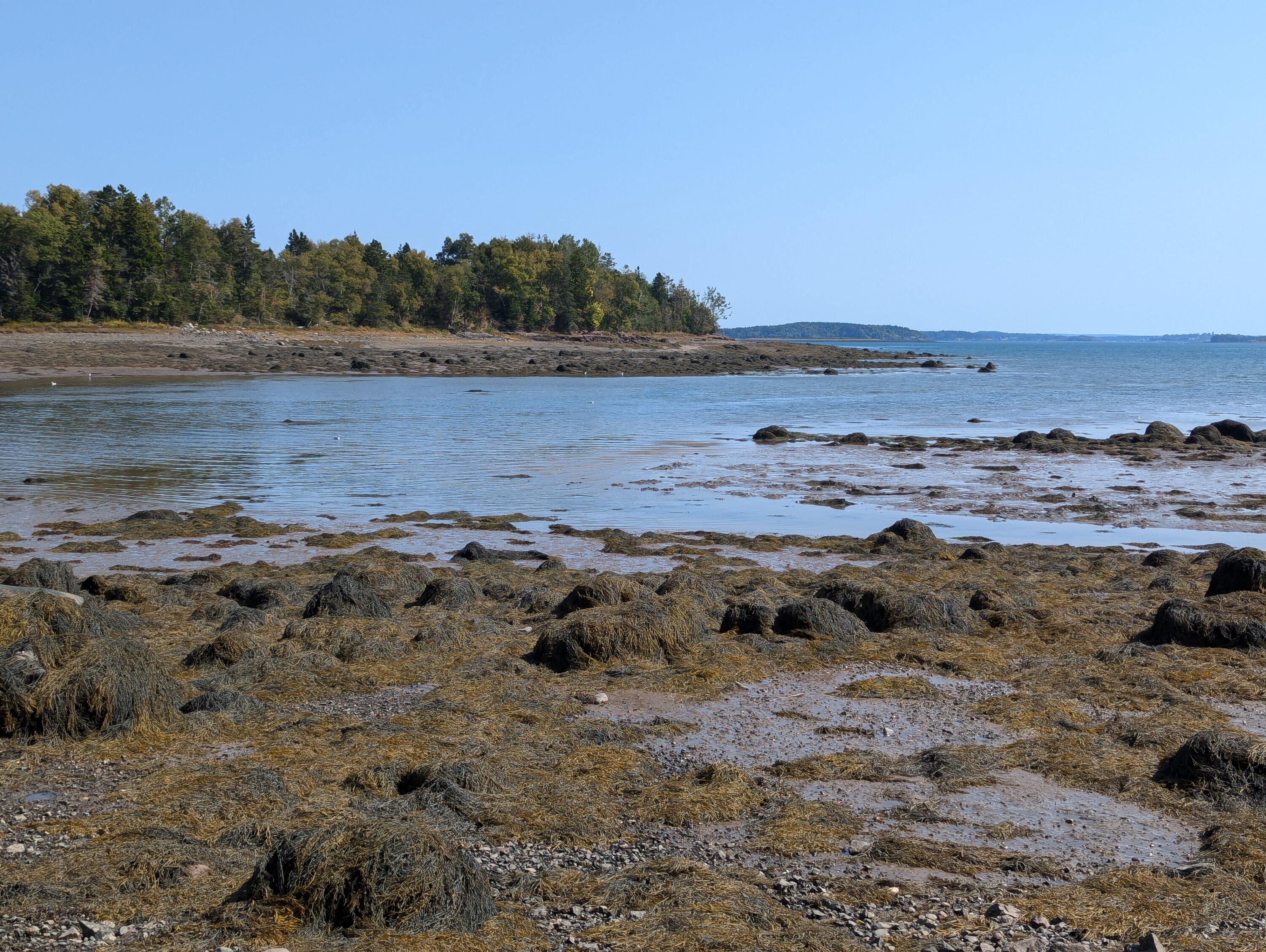 L1-1,2,3,4 Birch Point Road Perry ME 04667