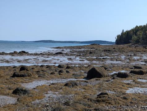 L1-1,2,3,4 Birch Point Road Perry ME 04667