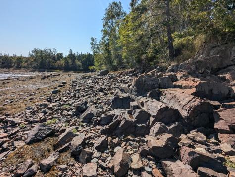 L1-1,2,3,4 Birch Point Road Perry ME 04667