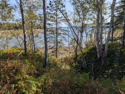 L1-1,2,3,4 Birch Point Road Perry ME 04667