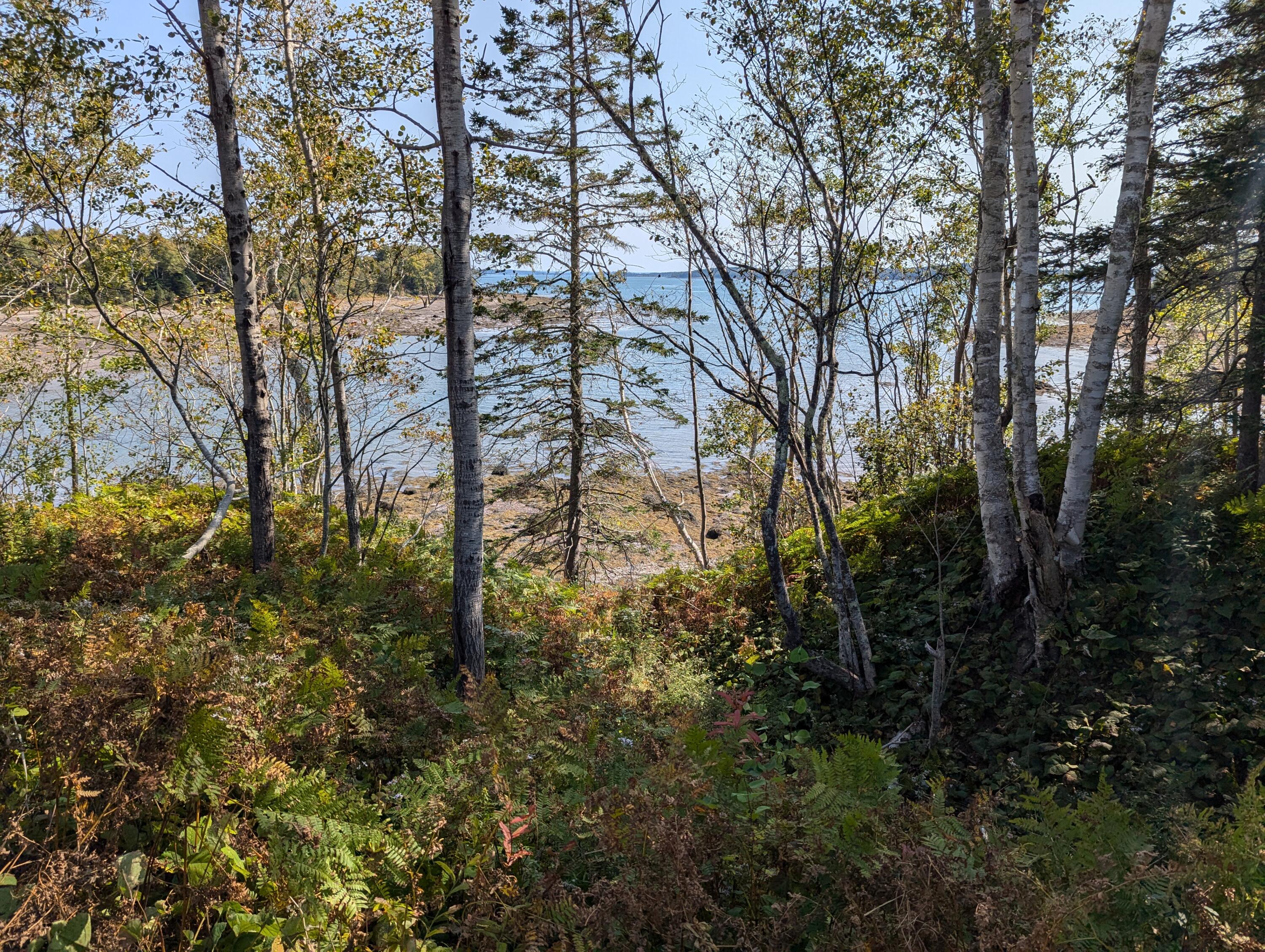 L1-1,2,3,4 Birch Point Road Perry ME 04667
