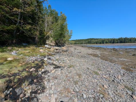 L1-1,2,3,4 Birch Point Road Perry ME 04667