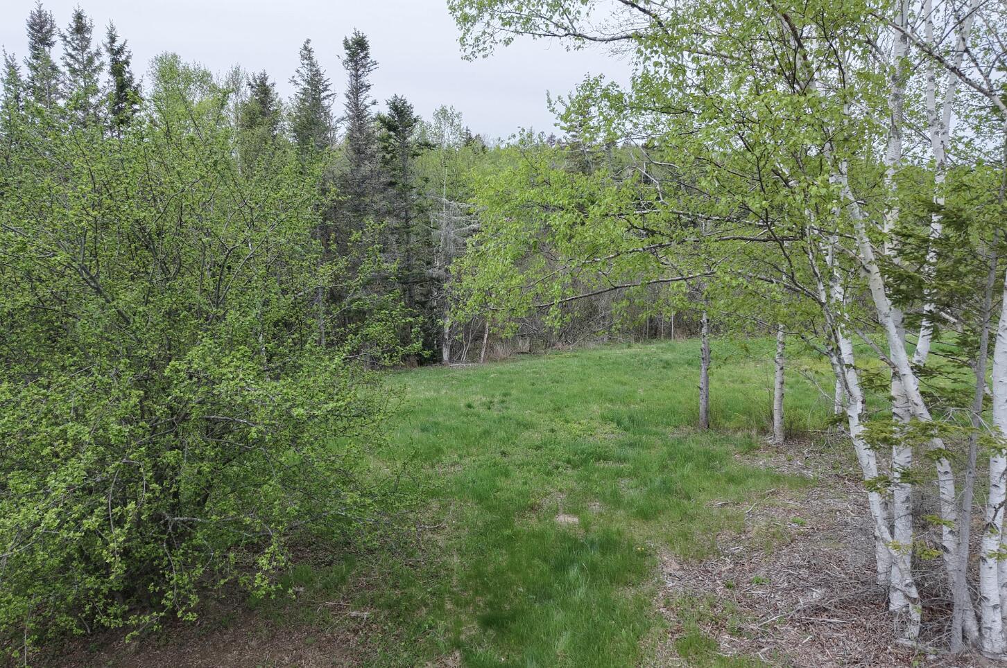 L1-1,2,3,4 Birch Point Road Perry ME 04667