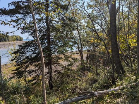 L1-1,2,3,4 Birch Point Road Perry ME 04667