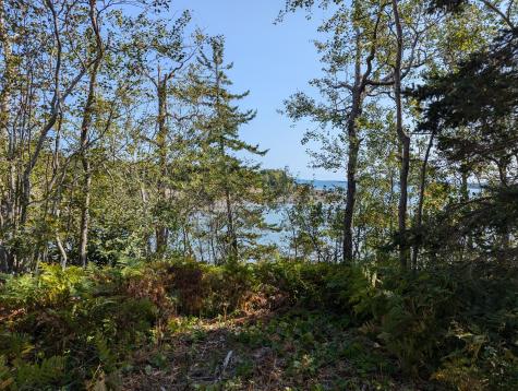 L1-1,2,3,4 Birch Point Road Perry ME 04667