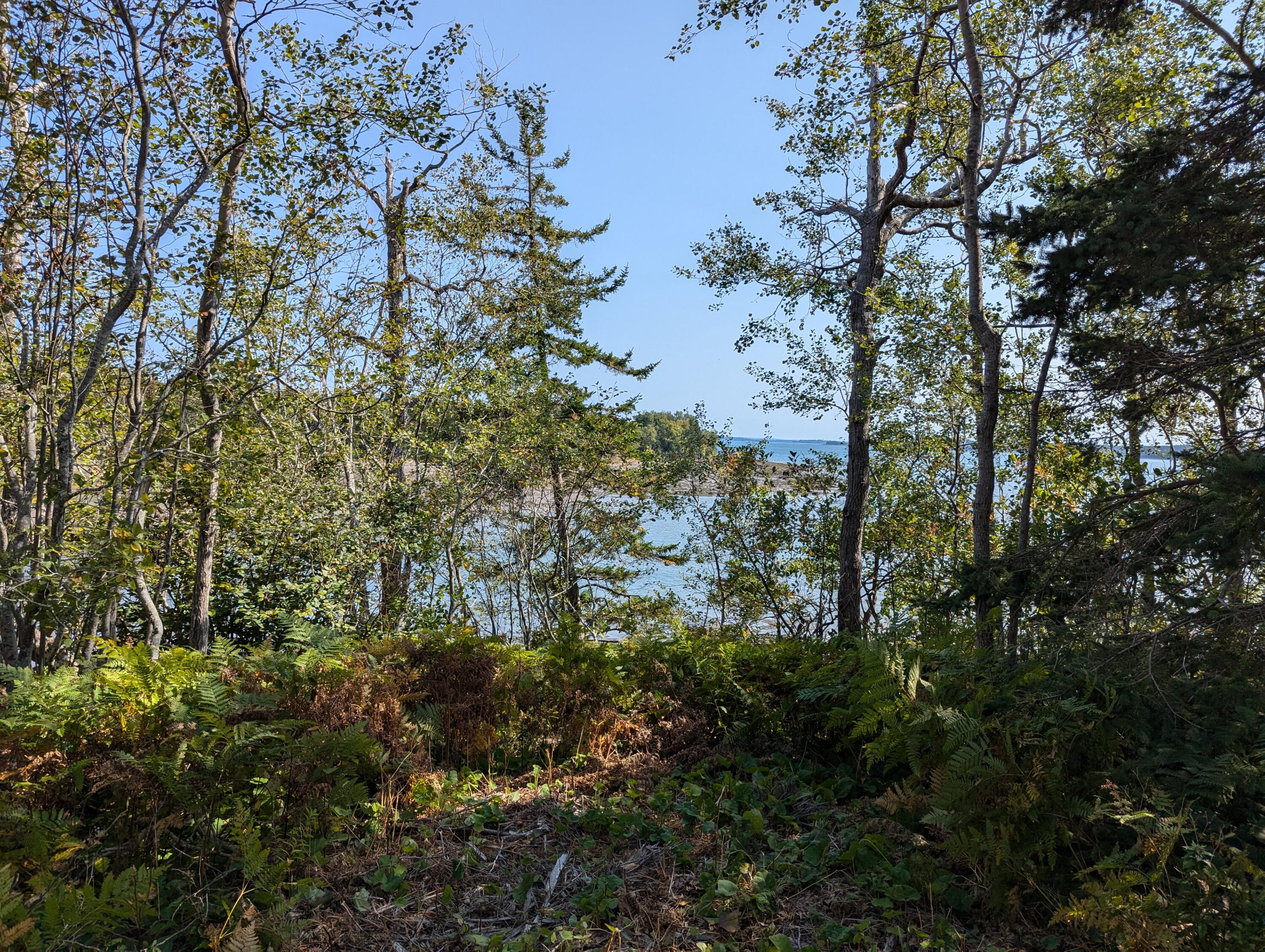 L1-1,2,3,4 Birch Point Road Perry ME 04667