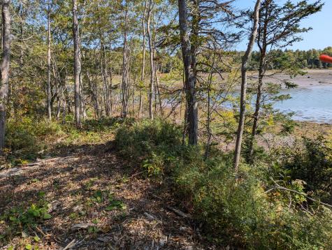 L1-1,2,3,4 Birch Point Road Perry ME 04667