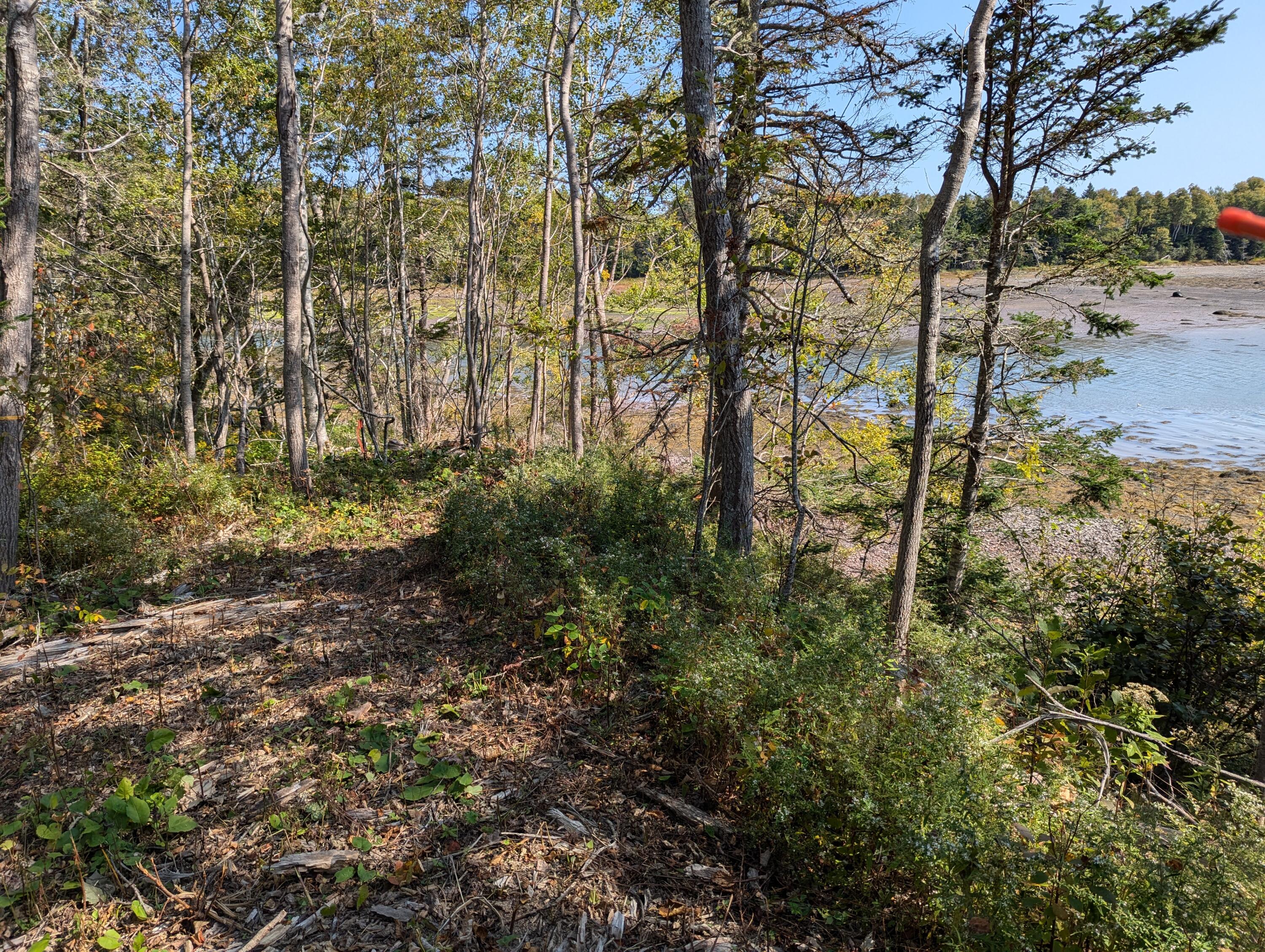 L1-1,2,3,4 Birch Point Road Perry ME 04667