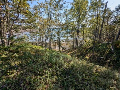 L1-1,2,3,4 Birch Point Road Perry ME 04667