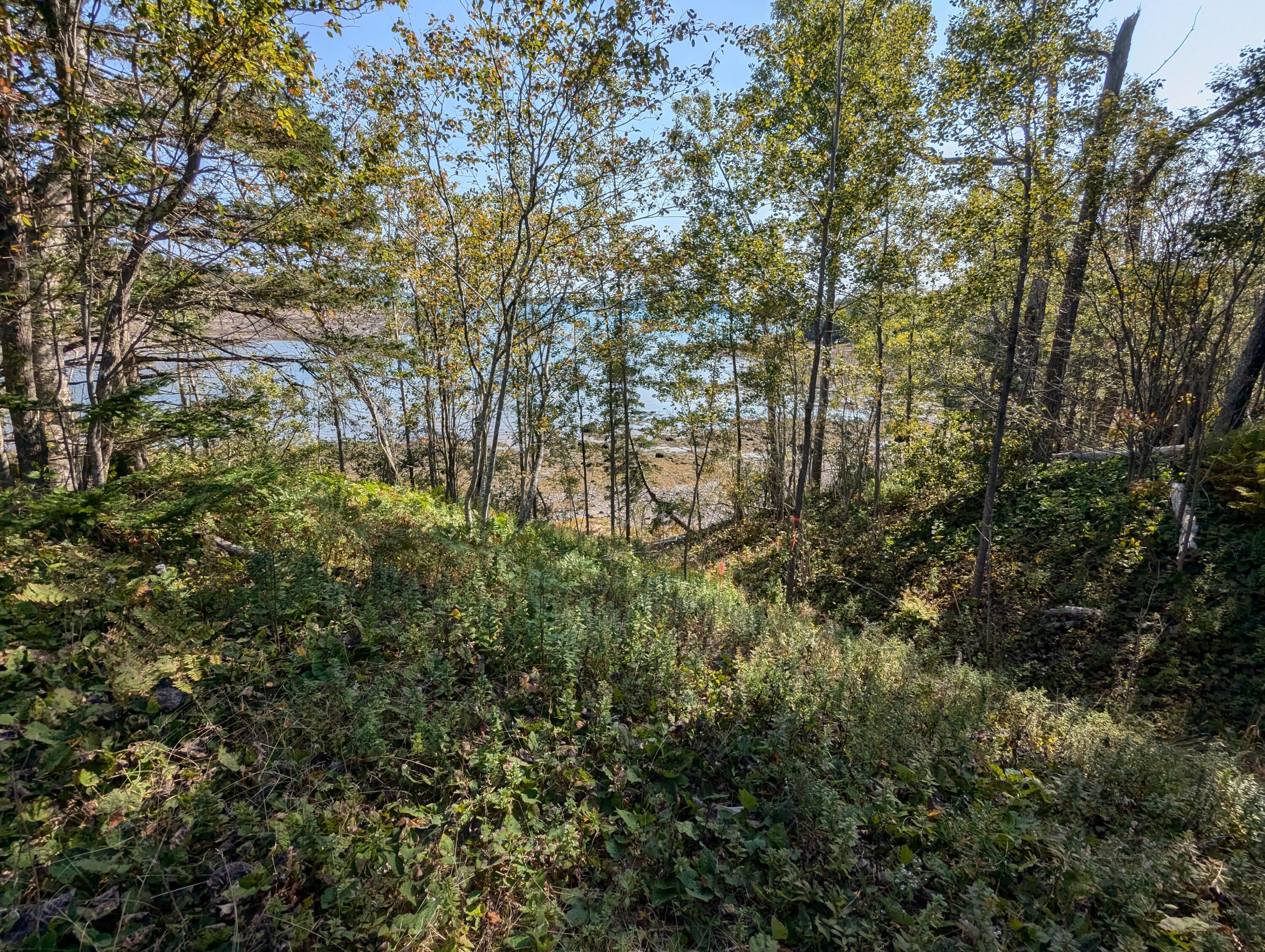 L1-1,2,3,4 Birch Point Road Perry ME 04667