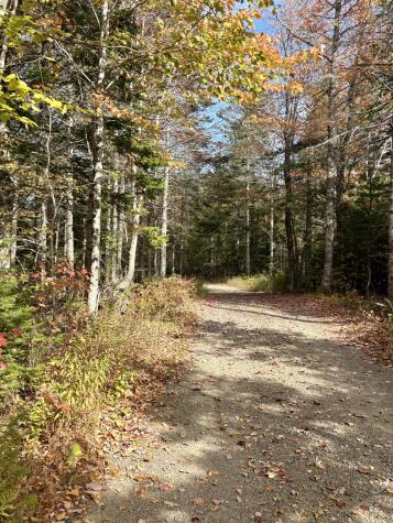 Xx S Meadow Road Perry ME 04667