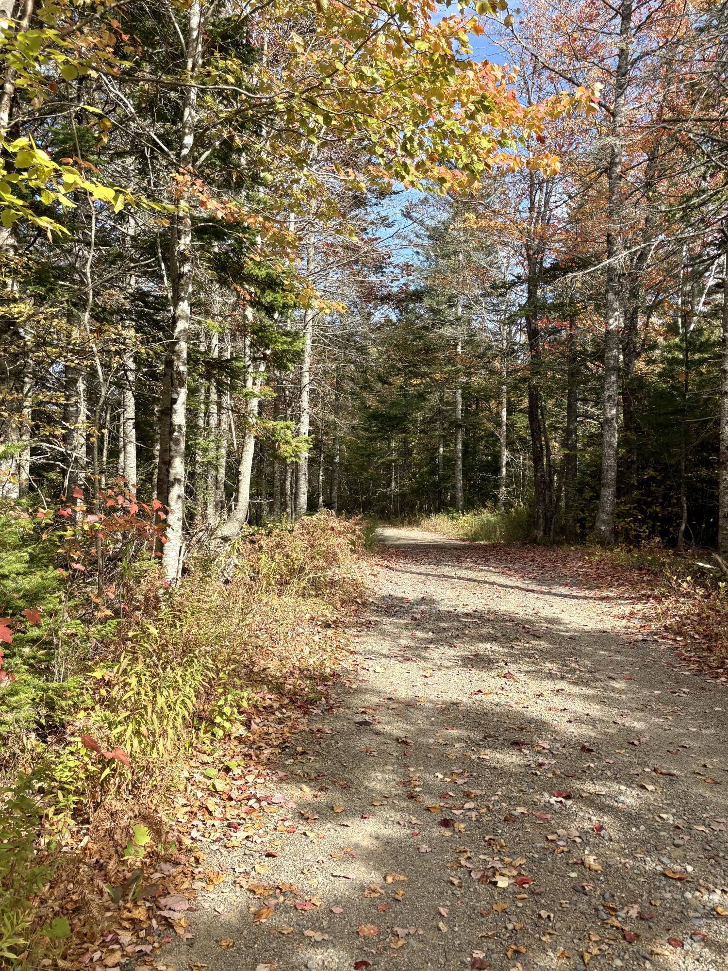 Xx S Meadow Road Perry ME 04667