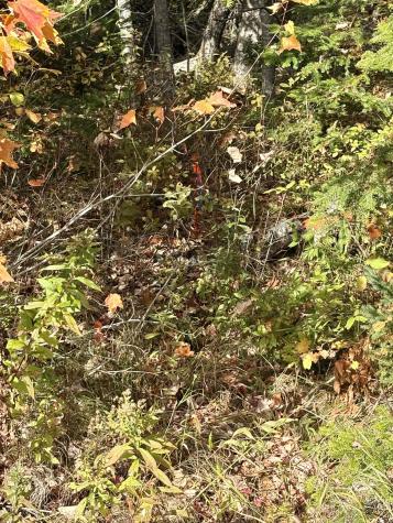 Xx S Meadow Road Perry ME 04667