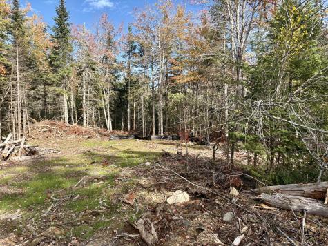 Xx S Meadow Road Perry ME 04667