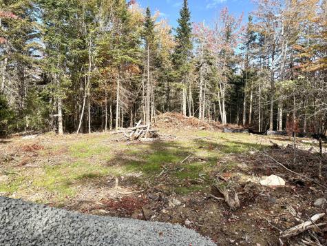 Xx S Meadow Road Perry ME 04667