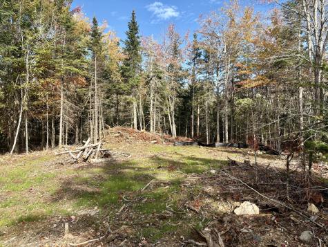 Xx S Meadow Road Perry ME 04667