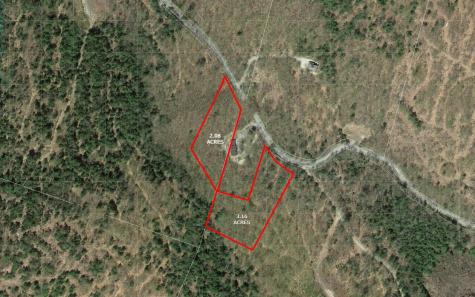 Lot 5 Peakes Hill Road Dedham ME 04429