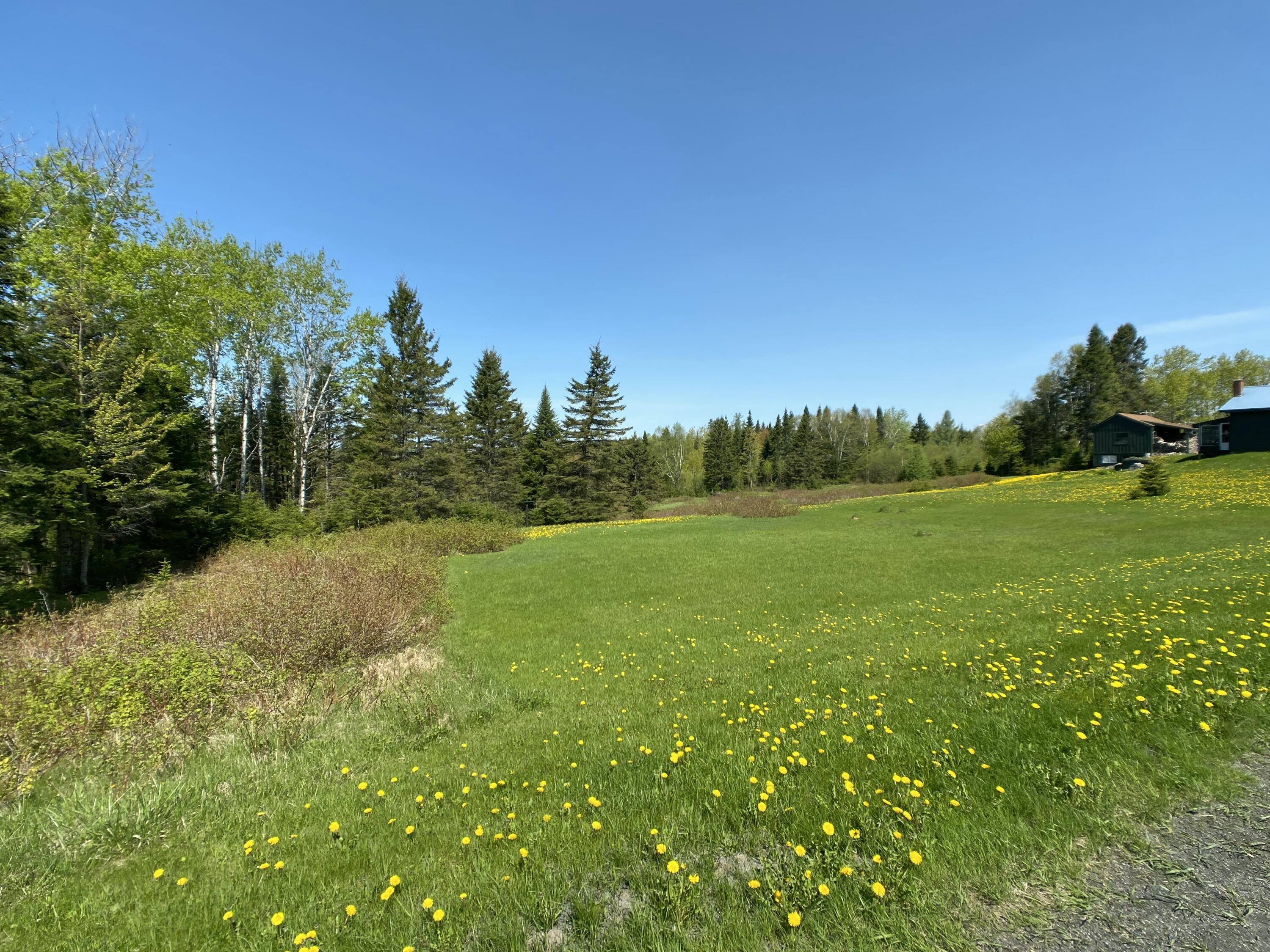 4-31 Caribou Road Cyr Plt ME 04785