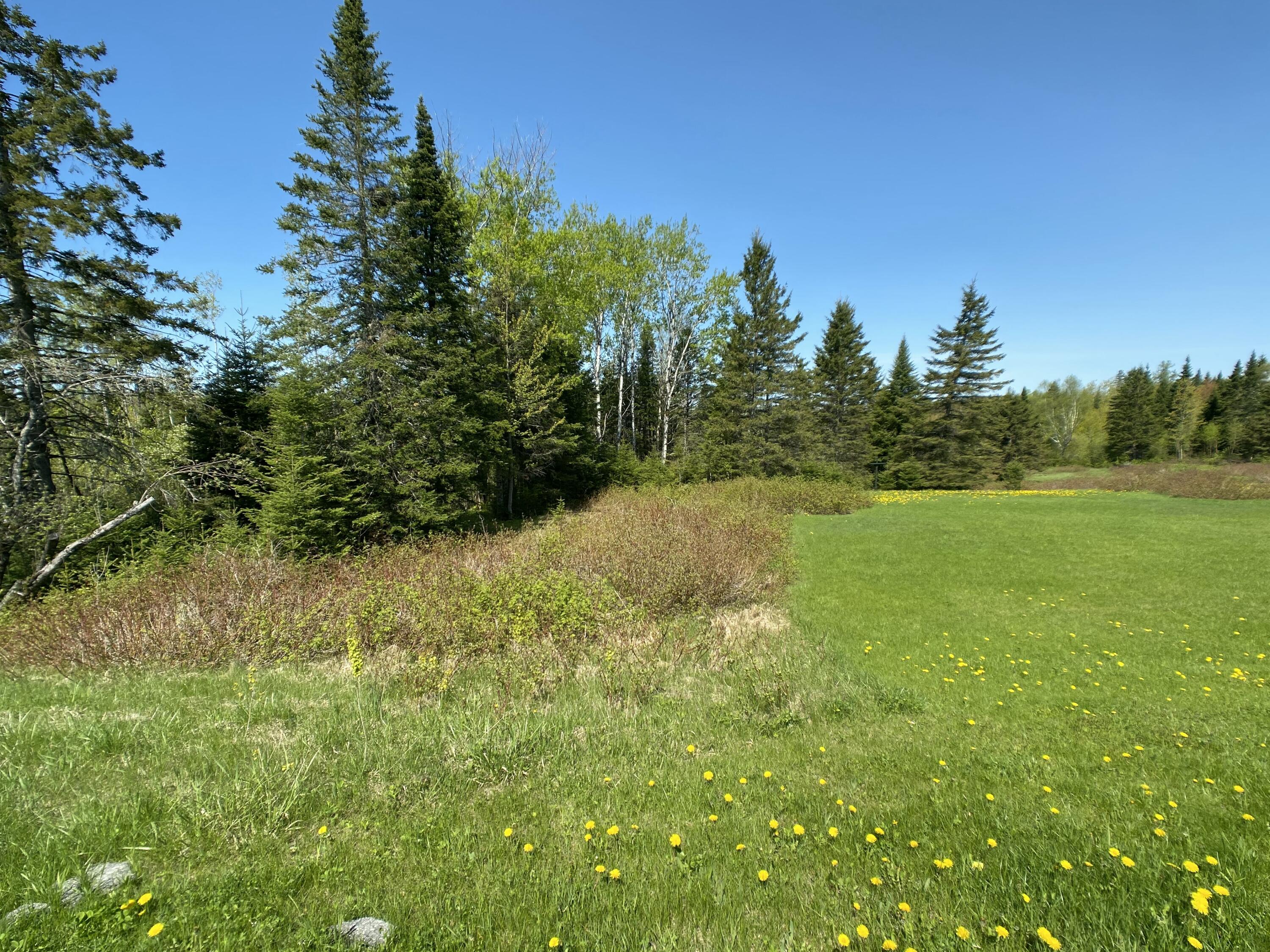 4-31 Caribou Road Cyr Plt ME 04785