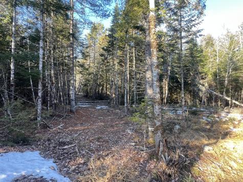 40 Benjamin Way Waltham ME 04605