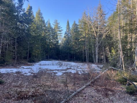 40 Benjamin Way Waltham ME 04605